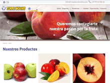 Tablet Screenshot of frutastorremolins.com